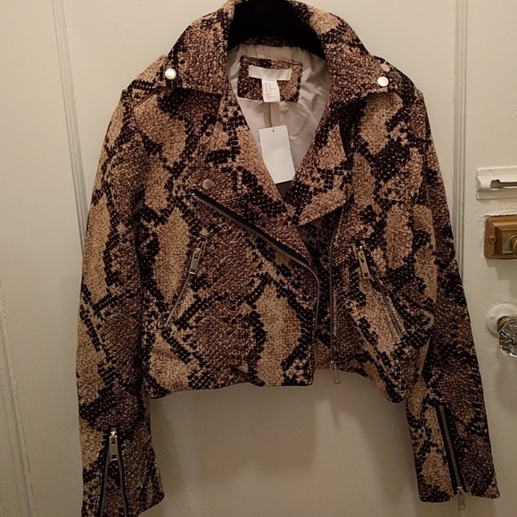 snake print moto jacket